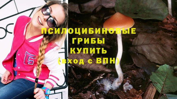 альфа пвп Нея