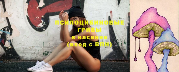 альфа пвп Нея
